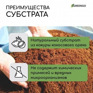 Субстрат кокосовый, универсальный, для террариумов и растений, в брикете, 65 л, 30% чипсы и 70% торф, Greengo