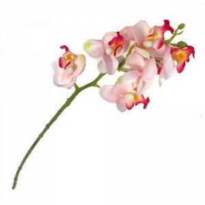 Орхидея 6 цветков 2 бутона 34 см