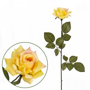 Роза Сад Франции желтая 70 см