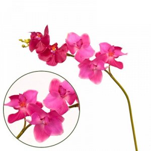 Орхидея фаленопсис розовая 40 см