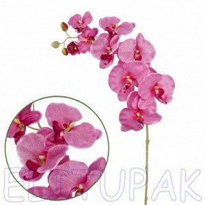 Орхидея фаленопсис Максима т.розовая 95 см