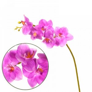 Орхидея фаленопсис Natural Touch фиолетовая 40 см