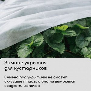 Материал укрывной, 10 ? 3.2 м, плотность 60 г/м?, спанбонд с УФ-стабилизатором, белый, Greengo, Эконом 20 %