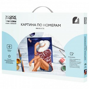 Картина по номерам на холсте ТРИ СОВЫ ""На отдыхе"", 30*40, с акриловыми красками и кистями