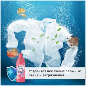 Пятновыводитель БОЛЬШАЯ СТИРКА на основе активного кислорода 1000 г