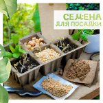 Семена +
