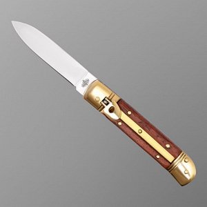 Нож складной "Змей" сталь - 50Х14МФ, рукоять - паккавуд, клинок - 10 см 4863206