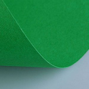 Бумага (картон) для творчества (1 лист) Fabriano Elle Erre А2+ 500х700 мм, 220 г/м2, зеленый, 42450711