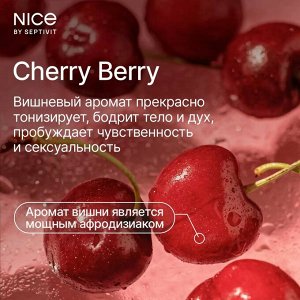 Гель для душа NICE by Septivit Cherry Berry 5л