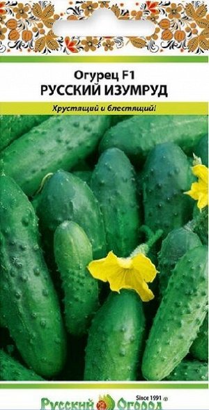 Огурец Русский изумруд F1 (Код: 14066)