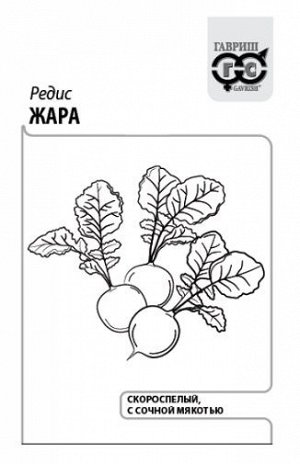 Редис Жара ч/б (Код: 91833)