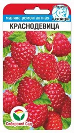Малина Краснодевица (Код: 91373)