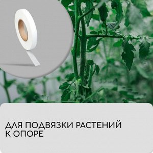 Лента для подвязки растений, 50?0.02 м, плотность 60 г/м?, спанбонд с УФ-стабилизатором, белая, Greengo, Эконом 20%