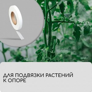 Лента для подвязки растений, 50 ? 0.02 м, плотность 60 г/м?, спанбонд с УФ-стабилизатором, белая, Greengo, Эконом 20%