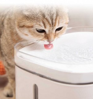 Умный автоматический поильник для животных Xiaomi Smart Pet Water Dispener
