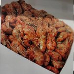 Шримс козырьковый Аквапром Инвест
