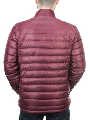 GBIT 81008 WINE Куртка мужская демисезонная BNQXIANG (100 гр. синтепон)