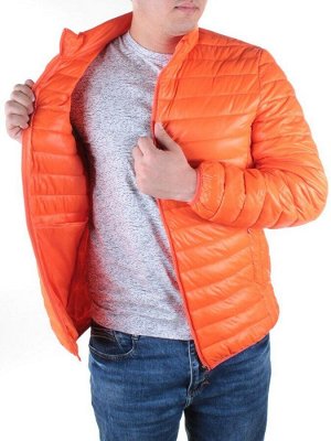 A297 Куртка мужская JINBALYL (100 гр. синтепон)