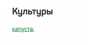 Агротекс Комплект для КАПУСТЫ (желто-черный 80-1,06*6м + шапочка желтая-10шт) 1/30