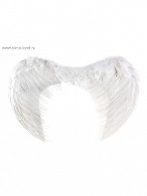 Крылья Ангела 55 х40 см цвет белый