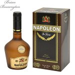 Мужская туалетная вода NAPOLEON DE LUXE 93 мл