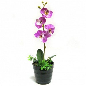N045 Бонсай Орхидея 35см пластик