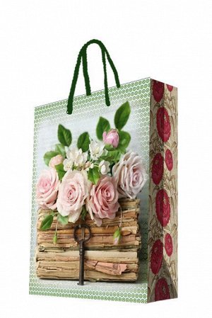 Бумажный пакет Книги и розы