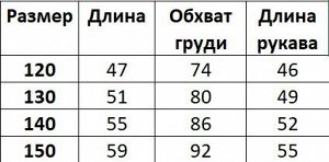 Детская спортивная кофта на молнии, утепленная, цвет серый