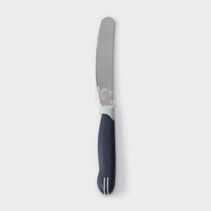 Нож для масла Доляна «Страйп», лезвие 7,5 см, цвет синий