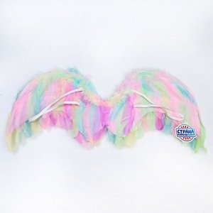 Крылья ангела 77×55 см