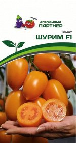 Томат Шурим F1 / Гибриды томата с желто - оранжевыми плодами