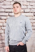 Толстовка 2420 серый STEEL WAY