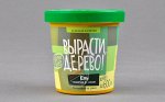 Вырасти дерево: Ель колючая ф. сизая
