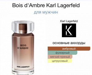 Мужские духи Bois d'Ambre Karl Lagerfeld 100 мл. Оригинал