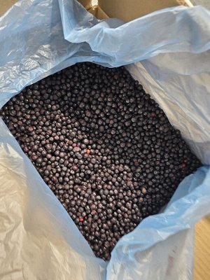 Черника сыстрозамороженная короб 10 кг Беларусь