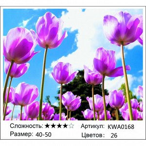 Алмазная живопись 40х50 без подрамника