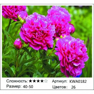 Алмазная живопись 40х50 без подрамника (0374233442)