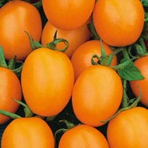 Томат Де-Барао Оранжевый высок, позднеспелый, оранжевый, 50-70гр 0,1гр Евро/БП