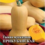 Тыква Прикубанская мускатная, среднеспелая, плетистая 1гр Гавриш/БП