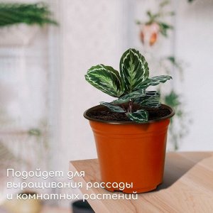 Горшок для рассады, 3,5 л, d = 20 см, h = 20 см, терракот, Greengo