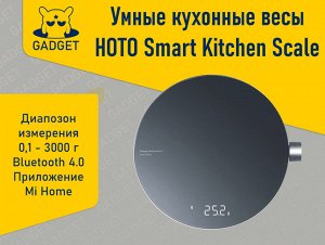 Умные кухонные весы HOTO Smart Kitchen Scale