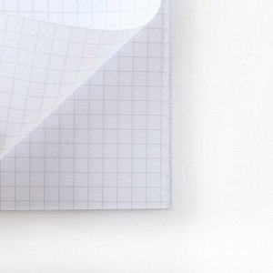 Блокнот А6, 32 л на скрепке, в клетку «Девочка с косичками»