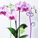 Держатель для орхидей, 60 см, пластик, фиолетовый
