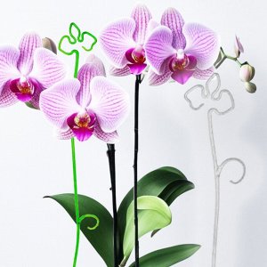 Держатель для орхидей, 60 см, пластик, прозрачный