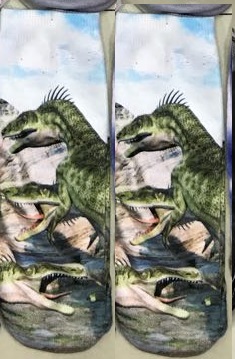 1r Нж3Д31-67 Носки женские 3Д рисунок  р.36-40  х/б. "Эра динозавров"