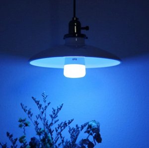 Лампочка умная Xiaomi Yeelight LED 1S YLDP13YL