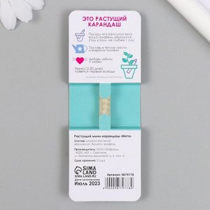 Растущие подарочные карандаши mini Обрети спокойствие "Мята"