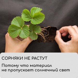 Материал мульчирующий, 20 ? 3,2 м, плотность 60 г/м?, спанбонд с УФ-стабилизатором, чёрный, Greengo, Эконом 20%