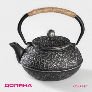 Чайник Доляна «Хрома», 800 мл, с ситом, эмалированное покрытие внутри, чугун, серый