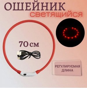 Ошейник светодиодный NUNBELL шир.15мм дл.55см, 10LED, USB
